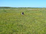 Big Sur 2010 047